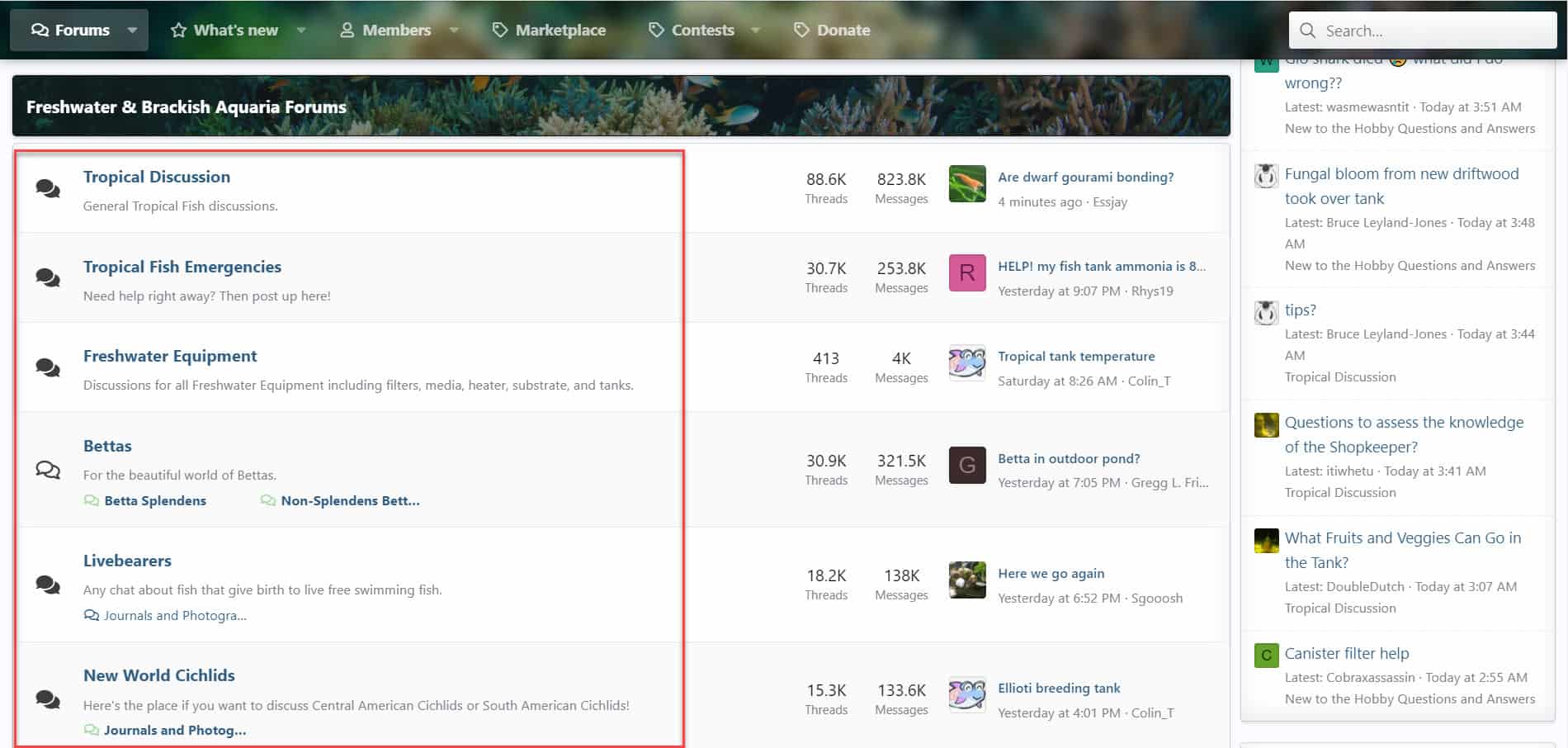 discussion board categories