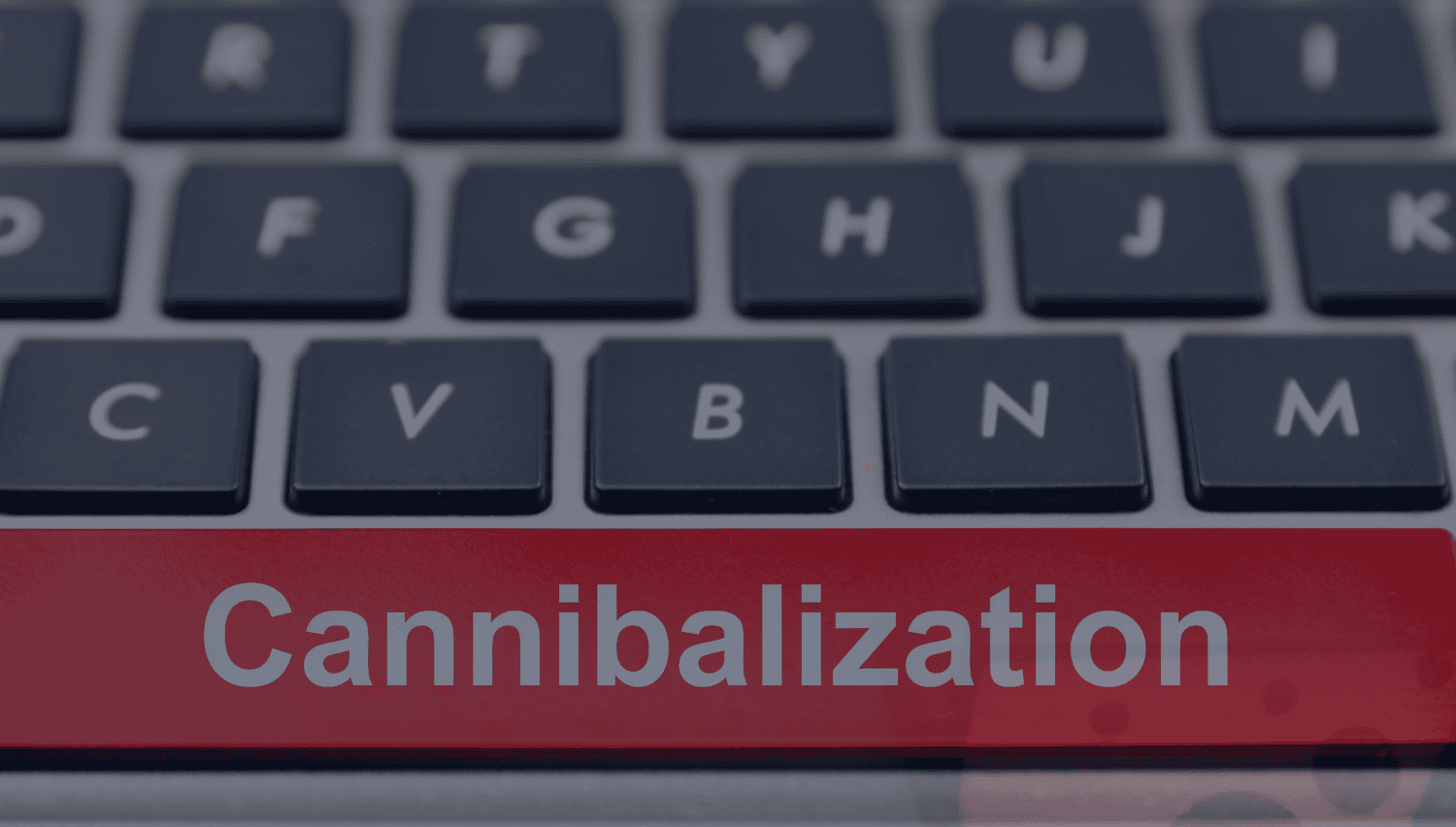 Keyword Cannibalization Guide The Impact and Steps to Identify Issues